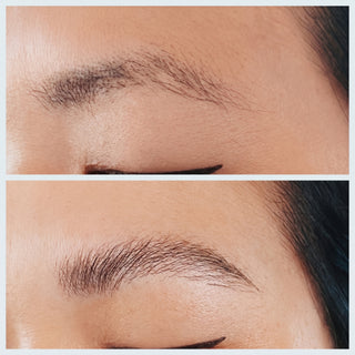 Elevate Brows - The Original DIY Brow Lamination Kit, Thio and Ammonia Free